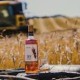 thy-whisky.jpg