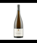 Clos Galerne Savennieres