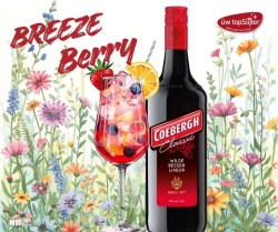 Coebergh Classis - Breeze Berry - mix - wk 23 -  uw topSlijter nb.jpg