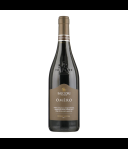 Sartori Omèro